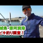 【茨城県】那珂湊港に良型●●接岸！サビキ釣りに急げ！