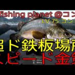 fishing planet #189『海釣りアプデに向けてスピード金策釣り!!場所は超ド鉄板なアノ場所 LV.75 コンゴ川@コンゴ』【生放送 第549回】#フィッシングプラネット#攻略#金策#雑談