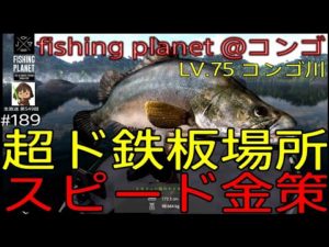 fishing planet #189『海釣りアプデに向けてスピード金策釣り!!場所は超ド鉄板なアノ場所 LV.75 コンゴ川@コンゴ』【生放送 第549回】#フィッシングプラネット#攻略#金策#雑談