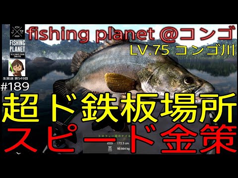 fishing planet #189『海釣りアプデに向けてスピード金策釣り!!場所は超ド鉄板なアノ場所 LV.75 コンゴ川@コンゴ』【生放送 第549回】#フィッシングプラネット#攻略#金策#雑談