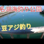 海釣り公園で豆アジ釣り