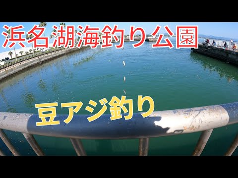 海釣り公園で豆アジ釣り