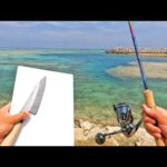 チタタプ食べたいので近くの海に釣りに行く