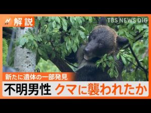 クマに襲撃されたか　北海道の「朱鞠内湖」で釣り人が行方不明に【Nスタ解説】｜TBS NEWS DIG