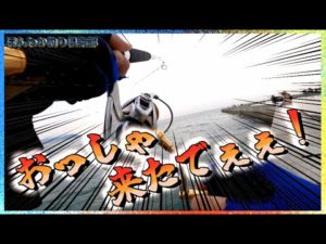 第178話【淡路島ショアジギング】淡路島で明石の流れにジグを投げ込むと・・！の巻。