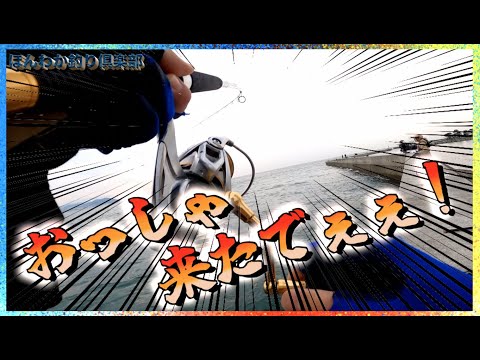 第178話【淡路島ショアジギング】淡路島で明石の流れにジグを投げ込むと・・！の巻。