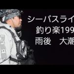 シーバスライブ【釣り楽199】