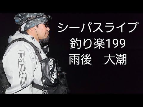シーバスライブ【釣り楽199】