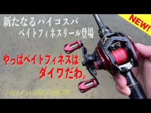 ダイワの新たなベイトフィネスリール登場！これはマジでハイコスパ！