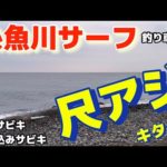 【糸魚川サーフ】釣り車中泊、尺アジ、キター！