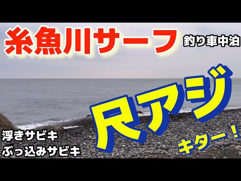 【糸魚川サーフ】釣り車中泊、尺アジ、キター！