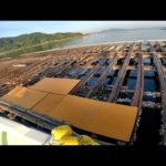 ここ最近調子が良いと噂の筏に行ってみたら…