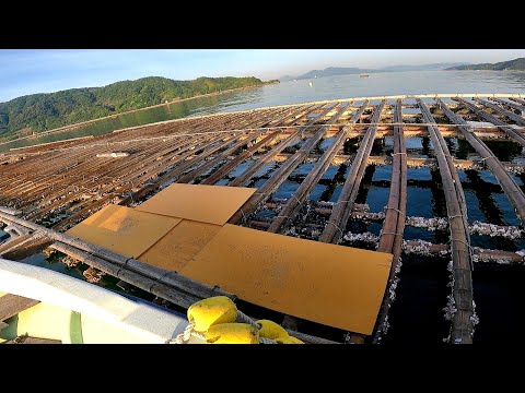 ここ最近調子が良いと噂の筏に行ってみたら…