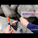 【穴釣り】穴に塩サバをぶちこめ❤️和歌山で穴釣り！！