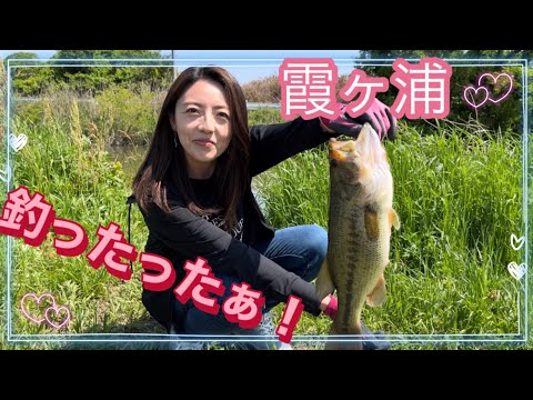 【バス釣り】やっと釣れました🥰皆やったよ💕霞ヶ浦2日目！#霞ヶ浦#水路
