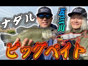 ナダルがビッグベイトでバス釣っちゃってる！？in五三川