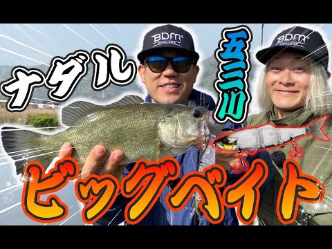 ナダルがビッグベイトでバス釣っちゃってる！？in五三川