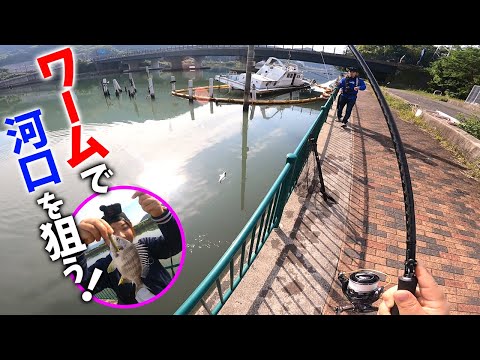 お手軽簡単装備で釣りを楽しむ‼