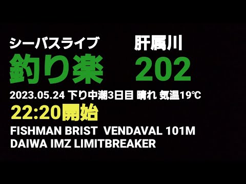 シーバスライブ【釣り楽202】