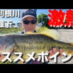 【埼玉バス釣りポイント】古利根川堰下！どでかいラージ釣れる！今が熱い！【オススメバス釣りポイント】