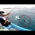 初船長をしたら珍しい大物が釣れた