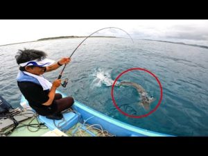 初船長をしたら珍しい大物が釣れた