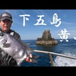 2023GW下五島黄島のイシダイ釣り