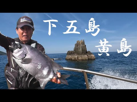 2023GW下五島黄島のイシダイ釣り