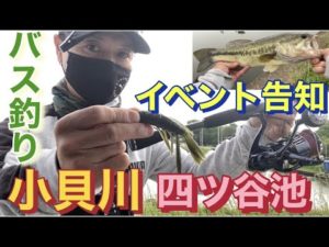 小貝川 四ツ谷池 バス釣り イベント告知