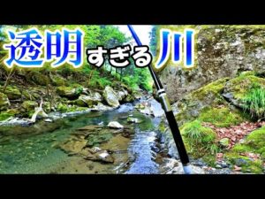 秘境で渓流釣り