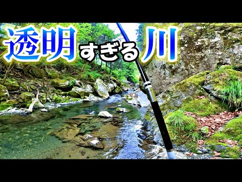 秘境で渓流釣り