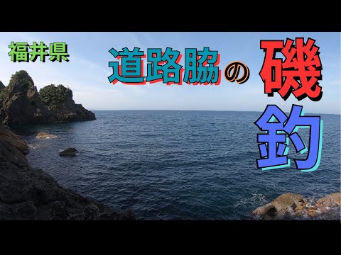 【福井県】初挑戦!道路脇の磯で釣り🎣