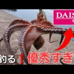 買わないで下さい…釣ってください！絶対使うべきDAISOタコエギ【5月下旬タコ釣り夕方】
