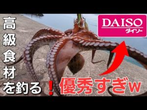 買わないで下さい…釣ってください!絶対使うべきDAISOタコエギ【5月下旬タコ釣り夕方】