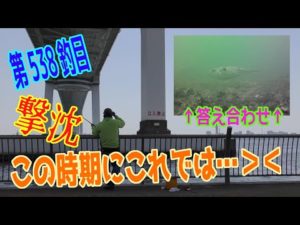 釣り動画ロマンを求めて 537釣目+水中動画