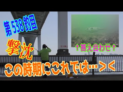釣り動画ロマンを求めて 537釣目+水中動画