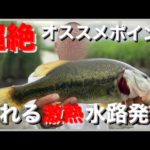 【茨城バス釣りポイント】たまたま見つけた水路が爆熱！古河市の中央排水路！【バス釣り】