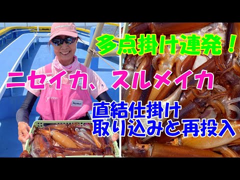 多点掛け連発！！城ヶ島沖のニセ、スルメイカ釣り＆直結仕掛けの取り込みと再投入【スルメイカ釣り】【直結仕掛け】【多点掛け】【ニセイカ】