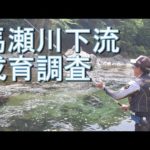 【馬瀬川下流　成育調査】鮎釣り