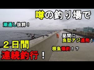 【神奈川県某所】噂の釣り場で2日間連続釣行！梅雨前の時期に、視聴者さんから情報提供があった、数年前の台風で倒壊してここ最近復活した東京湾の潮通しのいい釣り場で釣りしてみたら…！【2023年5月下旬】