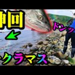 【釣り】神回・サクラマス・北海道・２０２３年ファイナル：５月