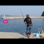 長い竿を買ったので普段届かない場所に投げてみると・・・【カレイ釣り】