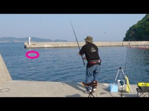 長い竿を買ったので普段届かない場所に投げてみると・・・【カレイ釣り】