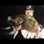 【船釣り】船の夜釣りは置き竿が最強だった！？