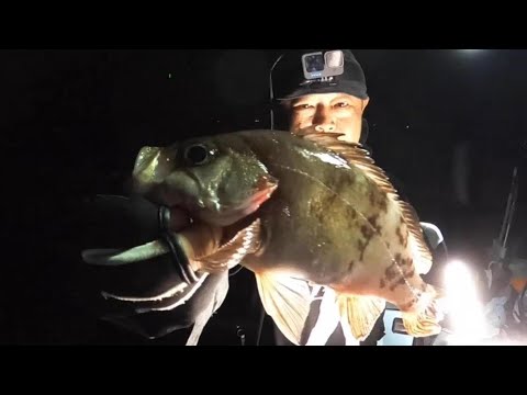 【船釣り】船の夜釣りは置き竿が最強だった！？