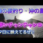 磯の夜釣り・沖の島　赤いチャンチャンコ　R5.5.27