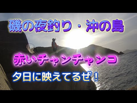 磯の夜釣り・沖の島　赤いチャンチャンコ　R5.5.27