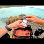 この後まさかの展開で美味しい魚が釣れた