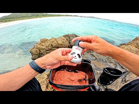 この後まさかの展開で美味しい魚が釣れた