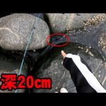 春イカが釣れない時は水深20㎝に落とすだけでヤバすぎます！